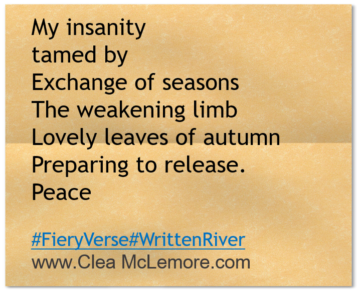 Autumn, Twitter, Clea McLemor