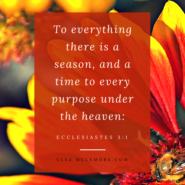 To Everything There is A Season, Ecclesiastes 3:1