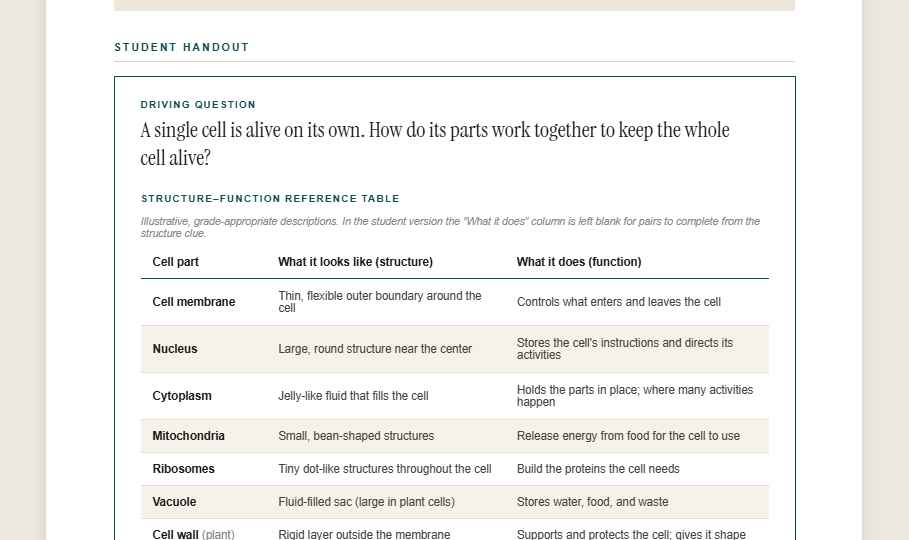 Packet page three: student handout, CER prompt and rubric